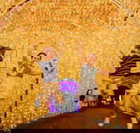Christmas Lights Spectacular New Year's Eve at Hunter Valley Gardens - Pubs Sydney