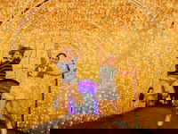 Christmas Lights Spectacular New Year's Eve at Hunter Valley Gardens