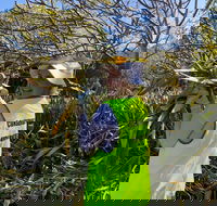 Conservation Volunteers Australia Townsville - Beach Scrub Conservation - Pubs Sydney