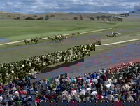 Cooma Sundowners Cup