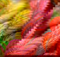 Creative Fibre - Pubs Sydney