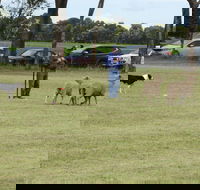 Dean Sheepdog Trials - Old Sniff Classic - Pubs Sydney