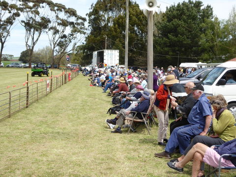 Dean Sheepdog Trials - Old Sniff Classic - Pubs Sydney 1