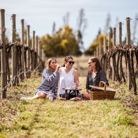 Family Picnic Weekend - Pubs Sydney 0