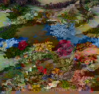 Glenrock Gardens Open Garden - Pubs Sydney
