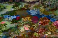 Glenrock Gardens Open Garden