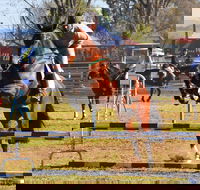 Glen Innes Pastoral and Agricultural Show - Pubs Sydney