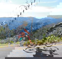 High Country Women's Cycling Festival - Pubs Sydney