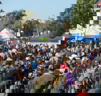 Hunter Valley Caravan Camping 4WD Fish and Boat Show - Pubs Sydney