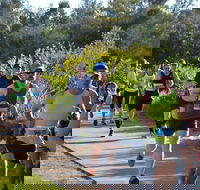 Husky Half Running Festival - Pubs Sydney