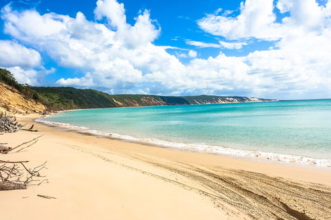 Longreach Leg - Beach To Reach 2020 - Pubs Sydney 2