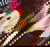 Murrindindi Beanie  Fibre Festival Online - Pubs Sydney