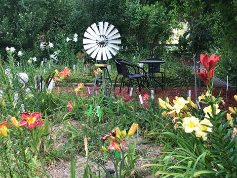 Riverina Iris Farm Open Garden And Iris Display - Pubs Sydney 2