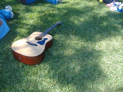 Rosewood Country Round Up Music Festival - Pubs Sydney 0