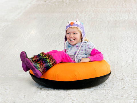 Snow Time In The Garden - Hunter Valley Gardens - Cancelled - Pubs Sydney 1
