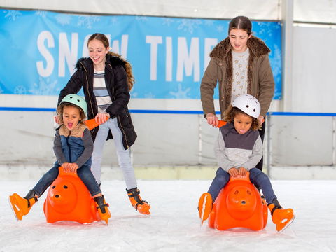 Snow Time In The Garden - Hunter Valley Gardens - Cancelled - Pubs Sydney 2