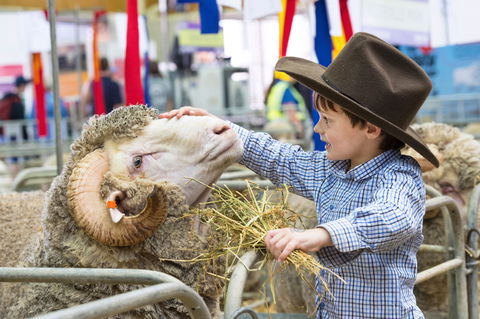 Sydney Royal Easter Show - Pubs Sydney 0