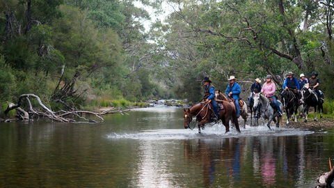 The Man From Snowy River Bush Festival - Pubs Sydney 0