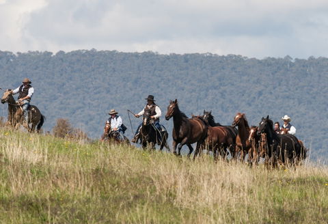 The Man From Snowy River Bush Festival - Pubs Sydney 1
