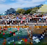 The Crescent Head Santa Surf - Pubs Sydney