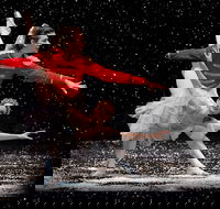 The Nutcracker and Don Quixote - Pubs Sydney