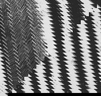 WA Now  Tom Mller Monolith Scores - Pubs Sydney