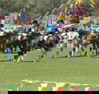 Wangaratta Show - Pubs Sydney