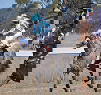 Wean Picnic Races - Pubs Sydney