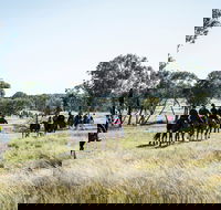 Weddin Mountain Muster - Pubs Sydney
