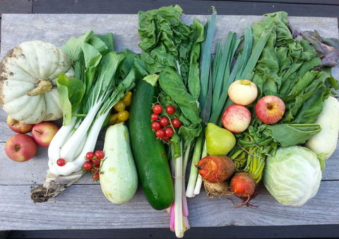 Wingham Farmers Market - Pubs Sydney 0