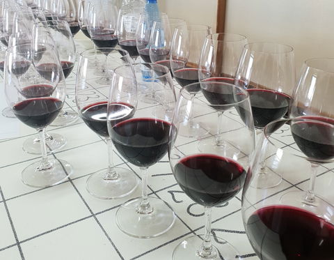 Australian Cool Climate Wine Show - Pubs Sydney 1