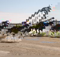 Bedourie Races and Rodeo - Pubs Sydney
