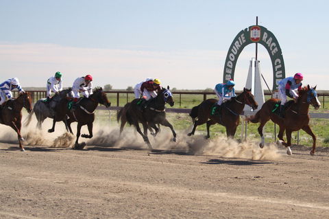 Bedourie Races And Rodeo - Pubs Sydney 0