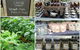 Berry Produce Market - thumb 1