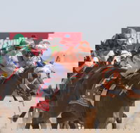 Birdsville Races - Pubs Sydney
