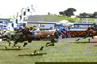 Bong Bong Picnic Races
