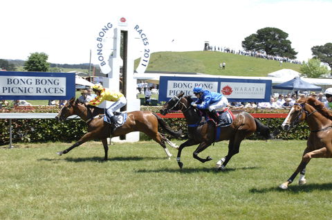 Bong Bong Picnic Races - Pubs Sydney 0