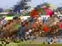 Book Penrith Accommodation Vacations Pubs Sydney Pubs Sydney