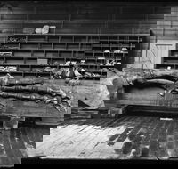Capturing Nature Early photography at the Australian Museum 1857  1893 - Pubs Sydney