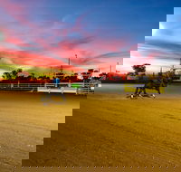 Cloncurry Stockmans Challenge and Campdraft - Pubs Sydney
