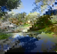 Conservation Volunteers Australia Townsville - Creekwatch - Pubs Sydney