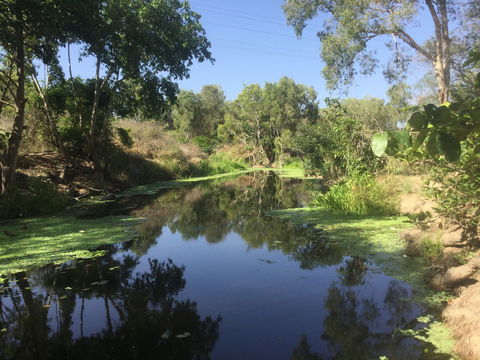 Conservation Volunteers Australia Townsville - Creekwatch - Pubs Sydney 0