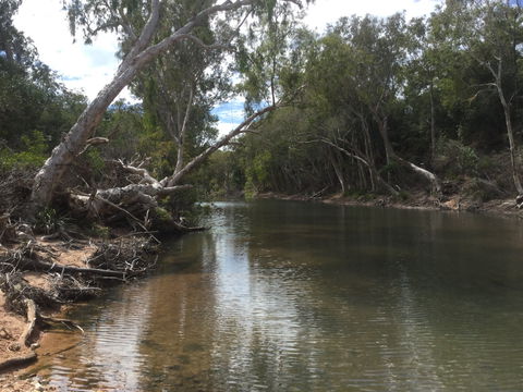 Conservation Volunteers Australia Townsville - Creekwatch - Pubs Sydney 2