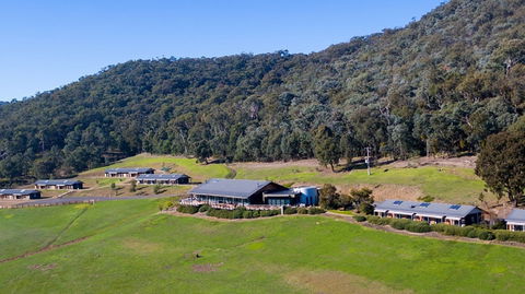Father's Day Lunch At Holmesglen At Eildon - Pubs Sydney 2