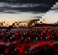 Field of Light Uluru - Pubs Sydney