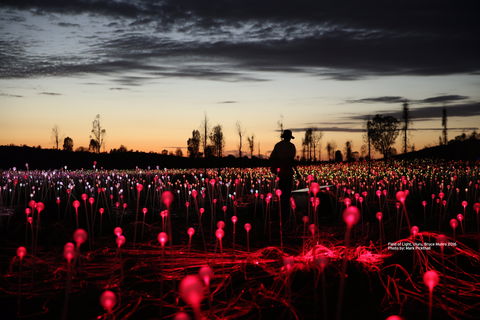 Field Of Light Uluru - Pubs Sydney 0