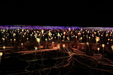 Field Of Light Uluru - Pubs Sydney 1