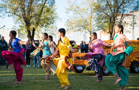 Griffith Spring Fest -  Multicultural Festival - Pubs Sydney 0