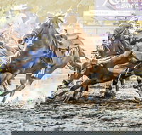 Gundagai Rodeo - Pubs Sydney