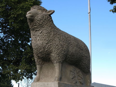 Guyra Lamb And Potato Festival - Pubs Sydney 0